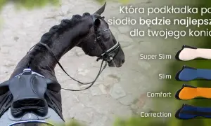 Jak się nazywa podkładka pod siodło? Poznaj jej różne nazwy