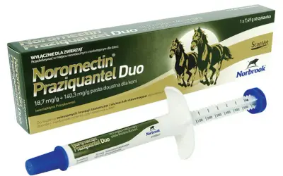 Odrobaczanie konia przed czy po jedzeniu: co jest skuteczniejsze?