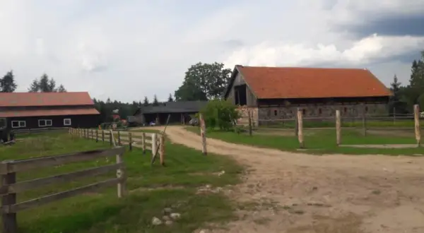 Stadnina koni Mycyny - wyjątkowe miejsce na agroturystyczne przygody