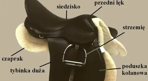 Ile waży siodło? Poznaj różnice w wadze i wpływ na komfort jazdy