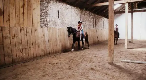 Stadnina koni Arabka w Dziećkowicach – odkryj wyjątkowe konie