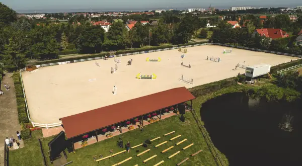 Stadnina Michalski w Budzistowie - wyjątkowe jazdy konne i atrakcje