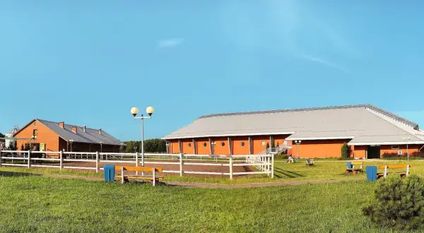 Najlepsze stadniny koni w Jaworznie - sprawdź, gdzie jeździć bez obaw